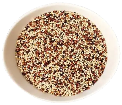 Quinua en grano